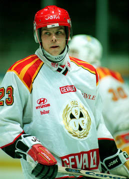 Per Löfström, Brynäs