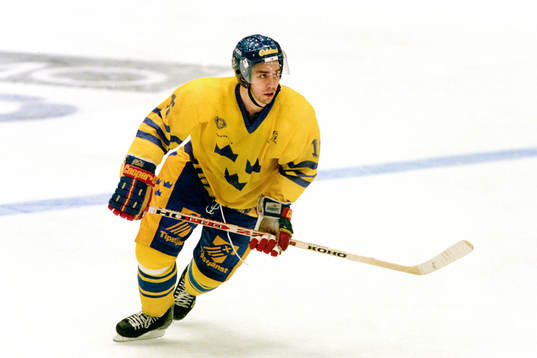 Nichlas Falk, Sverige