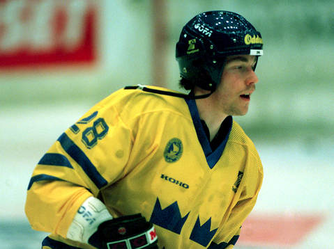 Roger Åkerström, Sverige