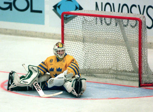 Mikael Sandberg, Sverige
