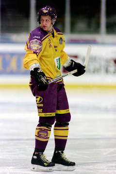 Magnus Arvedson, Färjestad