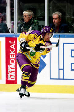 Peter Ottosson, Färjestad