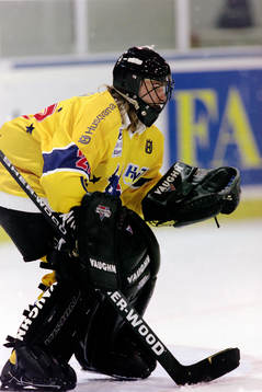 Bryan Schoen, målvakt, HV71