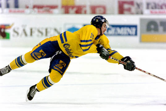 Nichlas Falk, Sverige