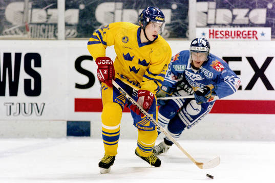 Magnus Arvedson, Sverige