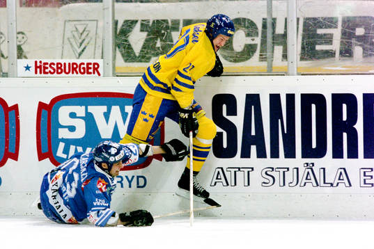 Magnus Arvedson, Sverige