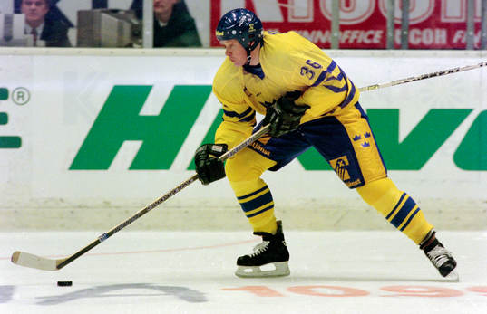 Niklas Sundblad, Sverige