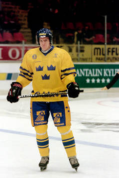 Kim Johnsson, Sverige