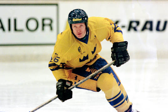 Niklas Sundblad, Sverige