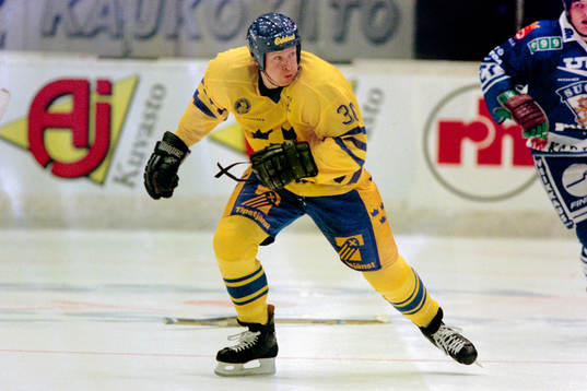 Niklas Sundblad, Sverige