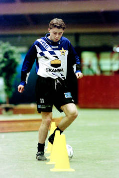 Einar Brekkan, Sirius
