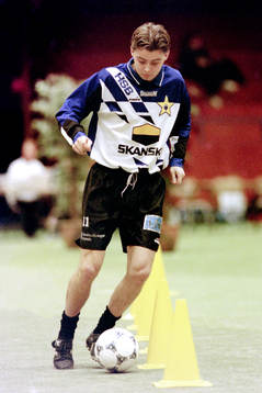 Einar Brekkan, Sirius