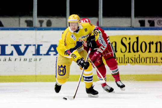 David Petrasek, HV71