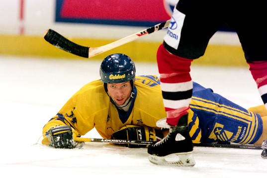 Roger Johansson, Sverige