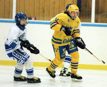 Bläddra bland fler bilder av Ishockey, damer, Sverige - Finland, 1-3
