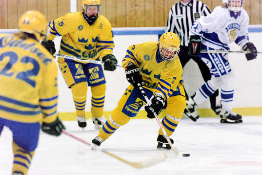 Malin Persson, Sverige