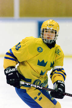Åsa Elfving, Sverige