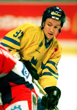 Michael Nylander, Sverige