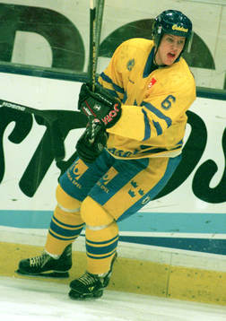 Kim Johnsson, Sverige