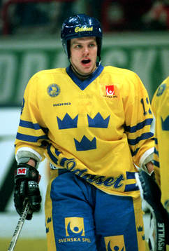 Niclas Hävelid, Sverige