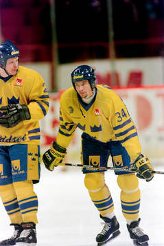 Roger Johansson, Sverige