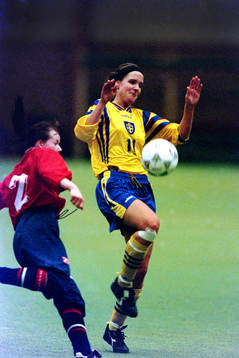 Anneli Wahlgren, Sverige