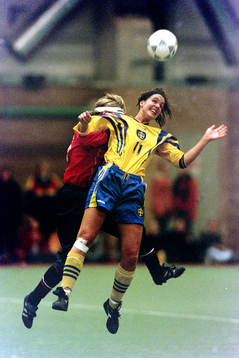 Anneli Wahlgren, Sverige
