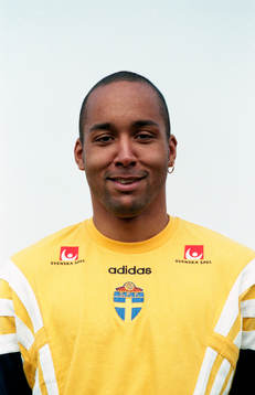Martin Dahlin, Sverige