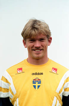 Jesper Blomqvist, Sverige