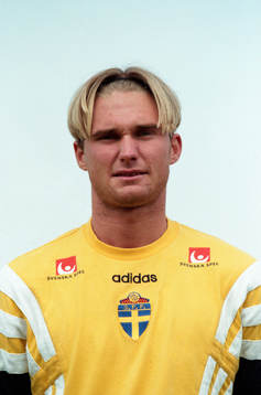 Anders Andersson, Sverige