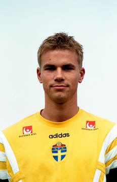 Niclas Alexandersson, Sverige