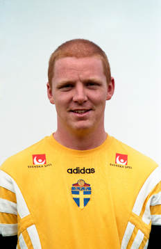 Jörgen Pettersson, Sverige