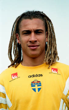 Henrik Larsson, Sverige