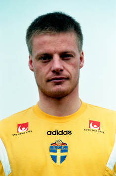 Stefan Schwarz, Sverige