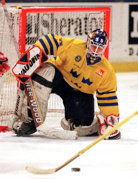 Tommy Salo, Sverige