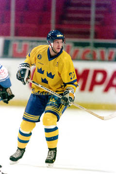 Magnus Arvedson, Sverige