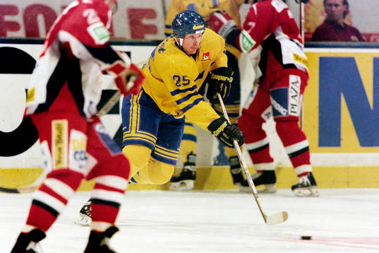 Niklas Sundblad, Sverige
