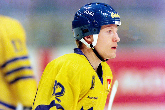 Niclas Andersson, Sverige