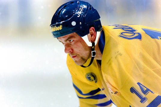 Mattias Norström, Sverige