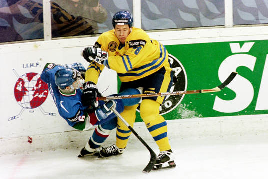 Nichlas Falk, Sverige