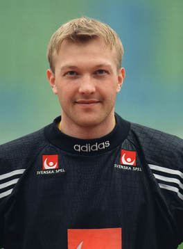 Magnus Hedman, Sverige