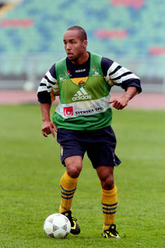 Martin Dahlin, Sverige