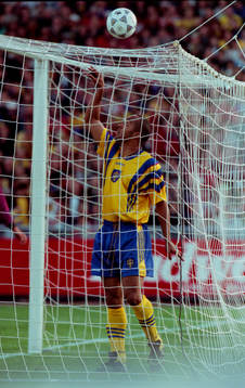 Martin Dahlin, Sverige