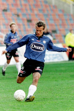 Fredrik Ljungberg, Halmstad