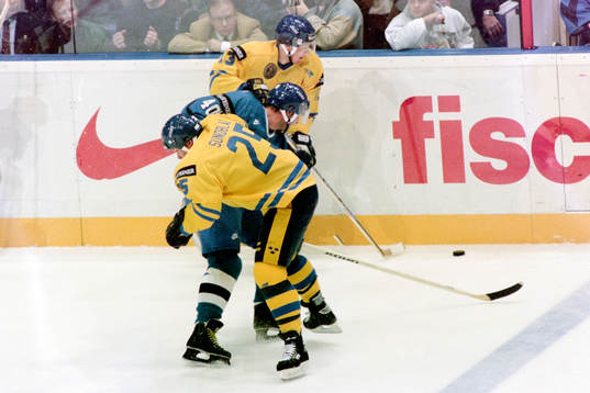 Niklas Sundblad och Ronnie Sundin, Sverige