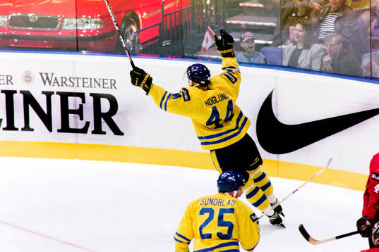 Jonas Höglund, Sverige jublar