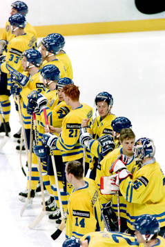 Det svenska laget