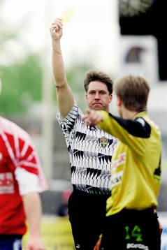 Torsten Helgemo, domare i matchen