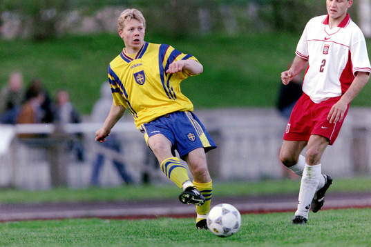Robert Andersson, Sverige