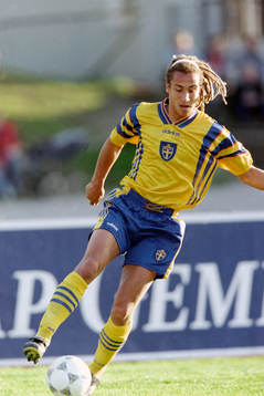 Henrik Larsson, Sverige